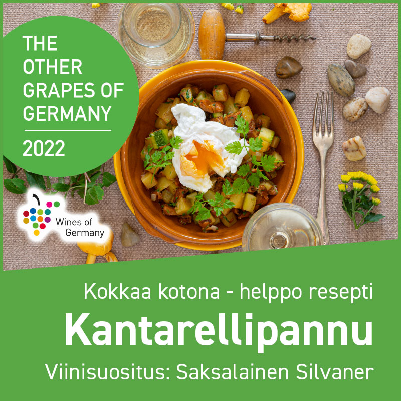 OGG-2022-KOKKAA-kantarellipannu